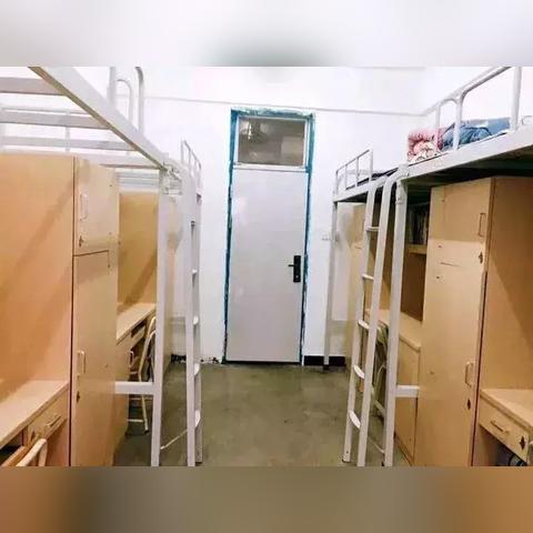 福建专科排名前十解读，职业教育优质资源分布全景剖析