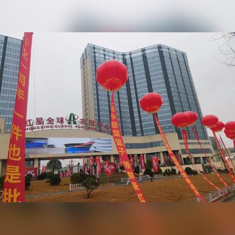 全球龙眼精品产地TOP榜，探寻龙眼最佳生长地，品质之选！