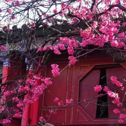 丽江旅游攻略揭秘，寺庙拍照打卡指南