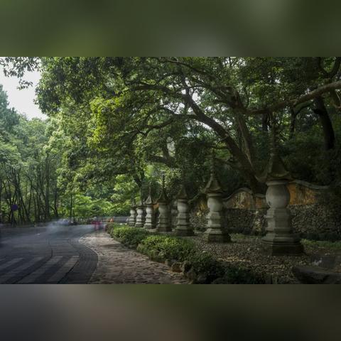 浙东小城未知美丽秘境探索攻略