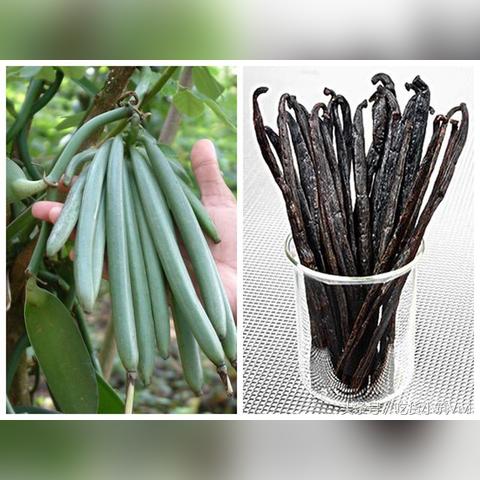 豆荚游戏合成攻略大揭秘，轻松成为合成大师！
