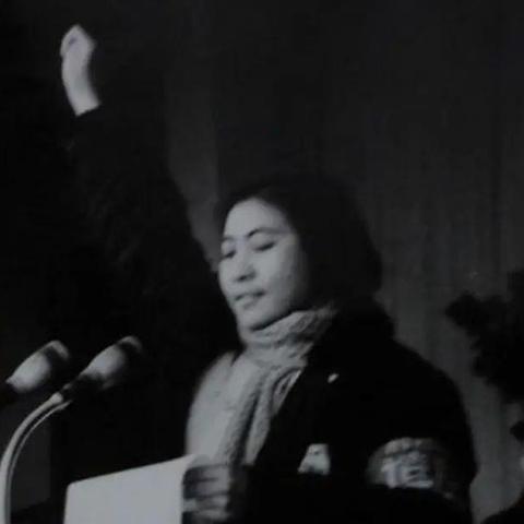 召合2全新关卡攻略揭秘，未知冒险之旅全解析