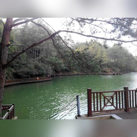 探索福建之美，福建旅游攻略平台独家呈现！