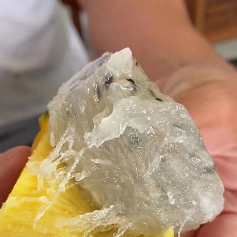 燕窝泡发秘籍，轻松掌握泡发方法与技巧，尽享营养美味！
