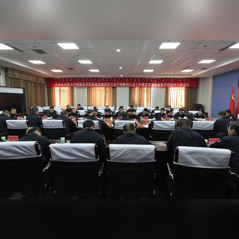 全球森林资源揭秘，各国林地排名及森林资源分布解析