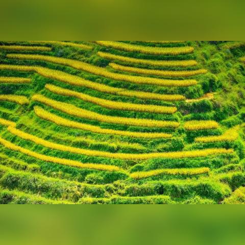 昆明旅游攻略，深度古街探秘之旅