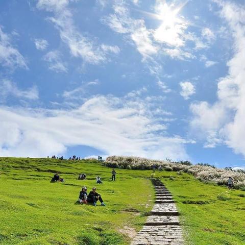 中国灵山公园自然人文之美探秘，十大名山排名榜单