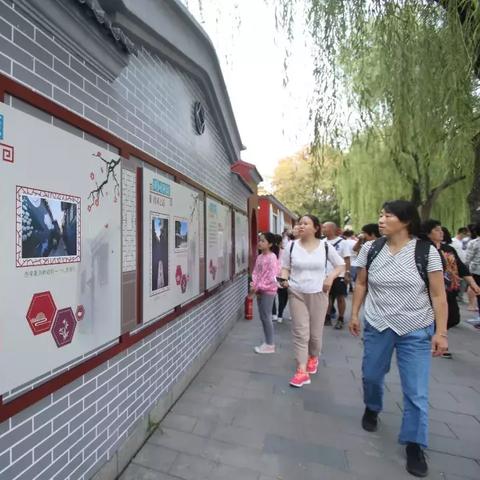 北海今日新闻头条，城市新动态与生活点滴全掌握