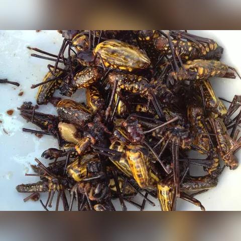 云南水投公司子公司排名大揭秘，行业影响力与地位深度探究