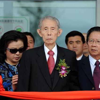 台塑石化全球卓越表现及排名深度解析