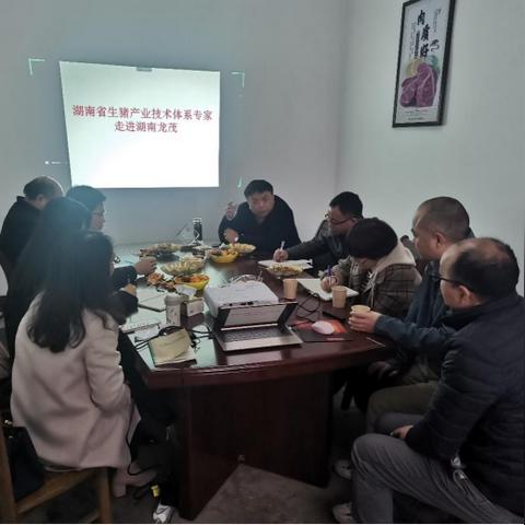 浏阳今日猪价实时更新，洞悉市场动态，掌握行业趋势