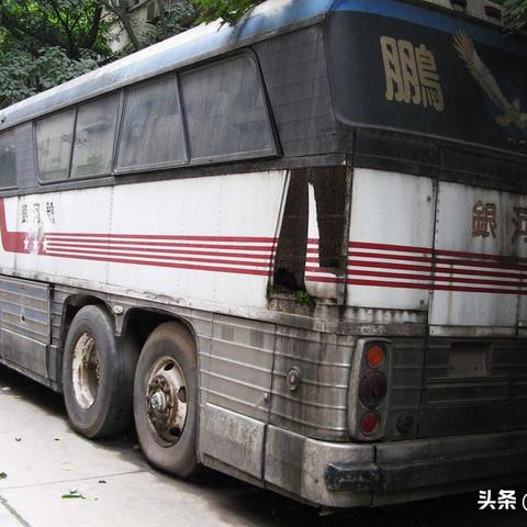 美国大片灰狗全解析，图片视频一览无余