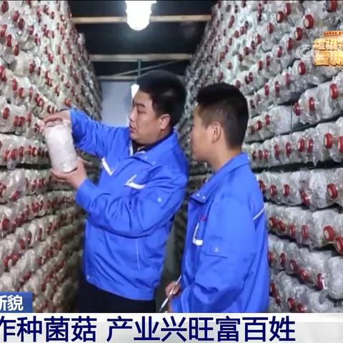 移樽就教 第4页
