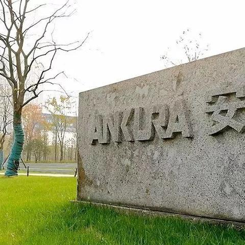 地面处理行业顶级公司排名揭秘，行业领军者的成功奥秘探索