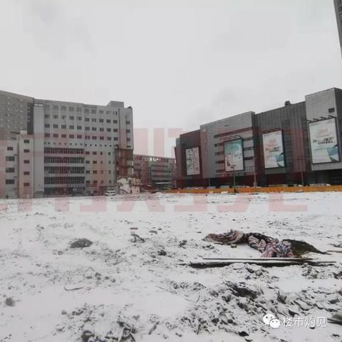 「沈阳沈河实时路况更新，今日路况一览无遗」