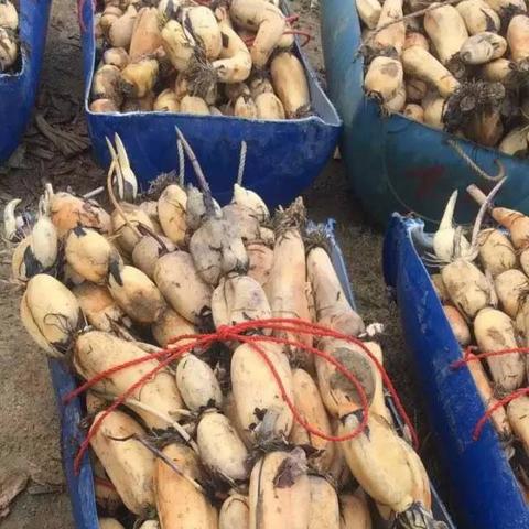 广州供水公司排名揭晓，优质水源的领跑者探寻