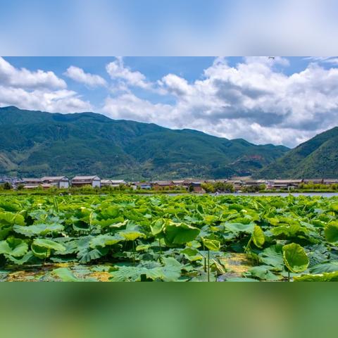 大理洱源县探秘指南，洱海之源的绝美风光之旅
