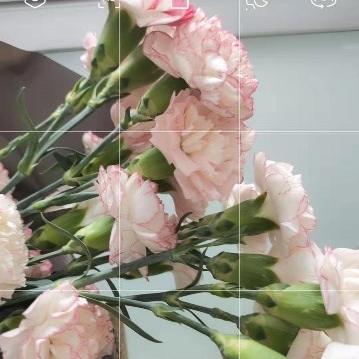 励志口红大师语录美图分享，激发无限动力与美丽共鸣