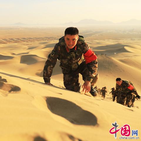 林下风范 第3页