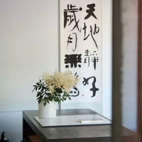 普洱新闻头条号，探索独特魅力，普洱韵味尽在其中