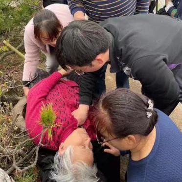 周口头条揭秘，探索新闻前沿，时代脉搏尽在掌握