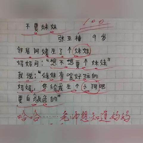 探索作文魅力，百度让生活更精彩