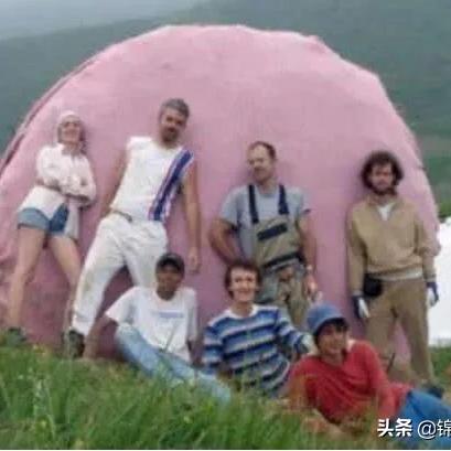 世界宠物兔寿命大揭秘，排名与养护知识一网打尽！