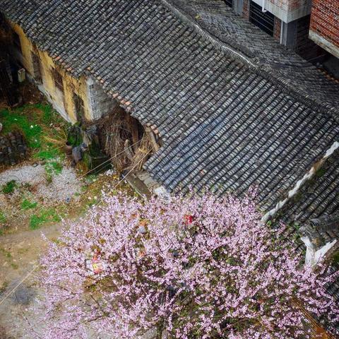 永州清明踏春攻略，探秘春光，感受传统文化之旅