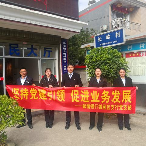 揭秘莆田与百度的神秘纽带，一场深度探索之旅