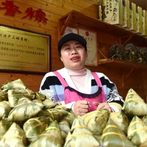 宜州三姐乡新闻聚焦，乡村振兴与地域文化融合发展的独特魅力