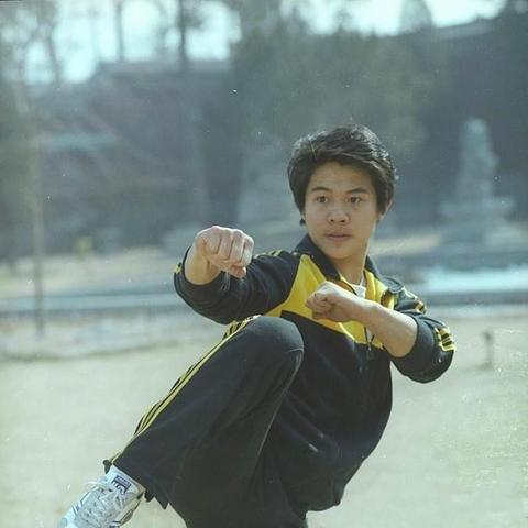 李连杰现状揭秘，功夫巨星的近况与人生轨迹更新报道