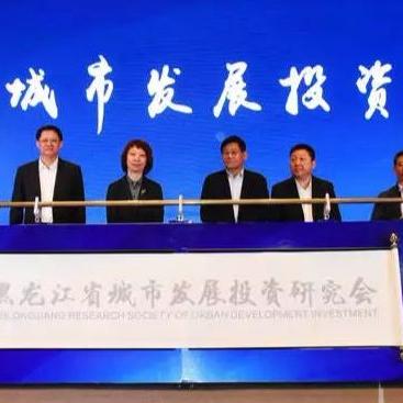 哈尔滨基金公司排名揭晓，解读最新投资风向标