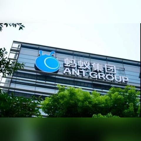 鹏华基金最新买入规则深度解读