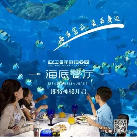 海豚堡游玩全攻略，最新视频引领畅游欢乐海洋之旅