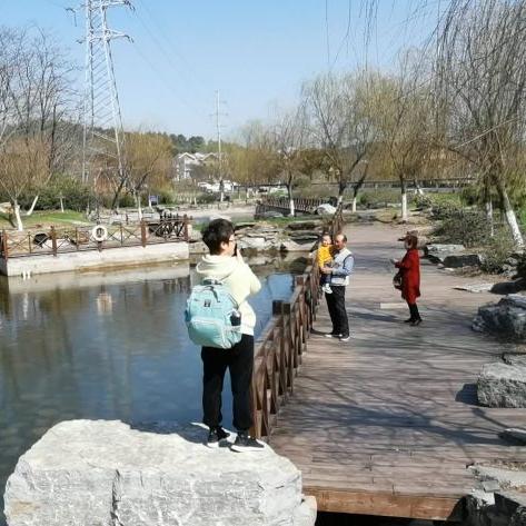 扬州一日游景点攻略，探索扬州的美丽之旅