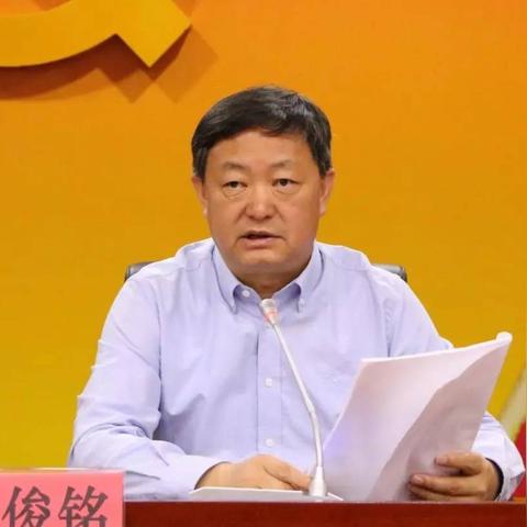 铜仁大龙新闻揭秘，地方发展活力源泉大放异彩