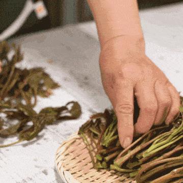 世界盐消费大国TOP10，文化与健康的双重考量