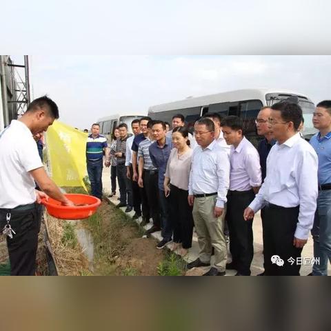 雍容雅步 第2页