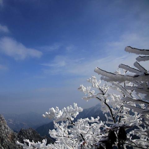 杭州大明山最新动态今日揭秘