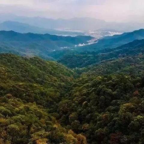 武夷山十八寨探秘之旅，绝美景点一网打尽！