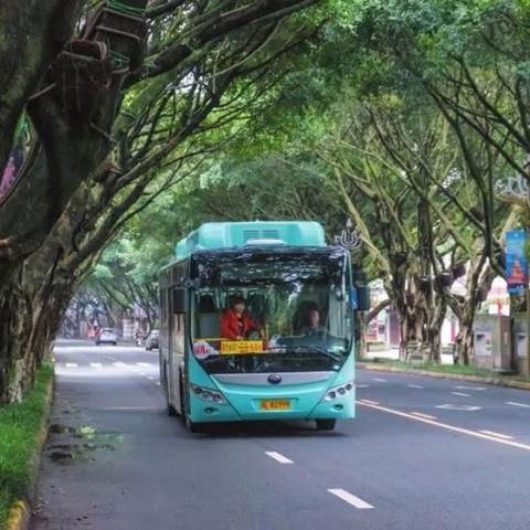 乐山最新资讯，今日天气详解报告