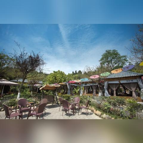 乐山半山美景深度游攻略，探索乐山极致风光体验