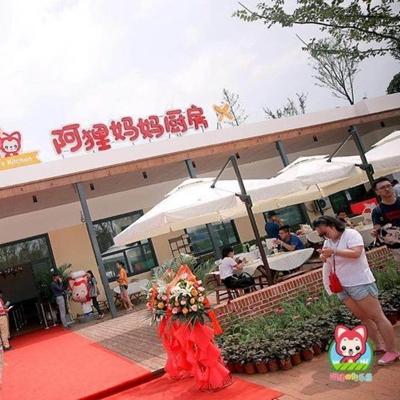 月亮下的追梦之旅，励志语录与成长文案