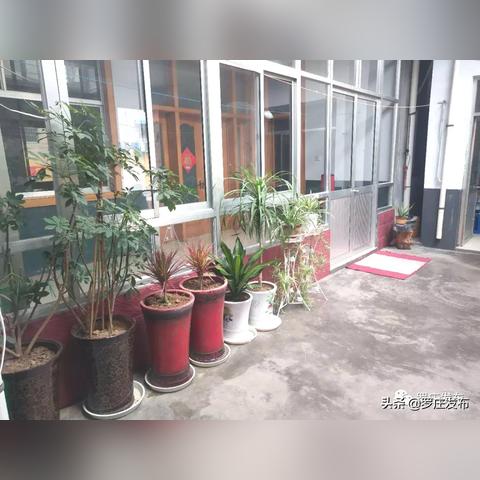 揭秘罗庄区齐庄村委，地方变迁与故事探秘