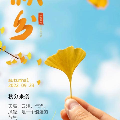初告白 第2页