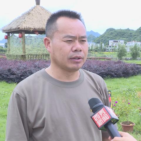 大坝疫情最新动态，全面应对与防控的最新进展今日播报