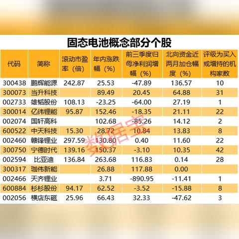 龙头股票今日最新深度解析