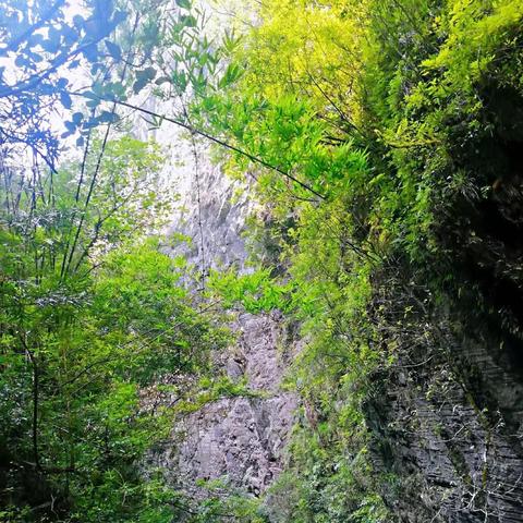 仙女山旅游攻略揭秘，重庆之旅的绝美景点推荐！