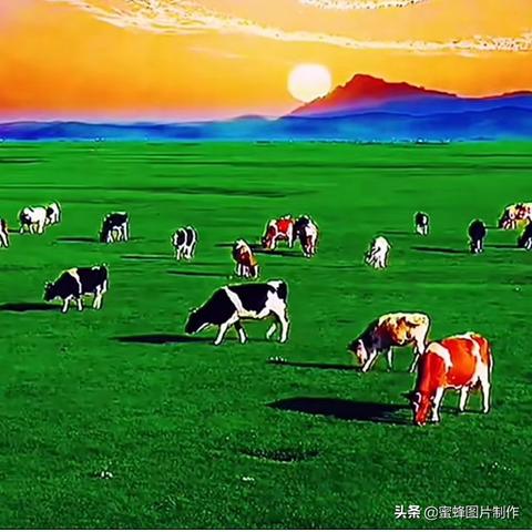 2025年5月9日 第41页