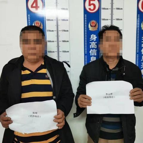 儋州最新疫情动态更新